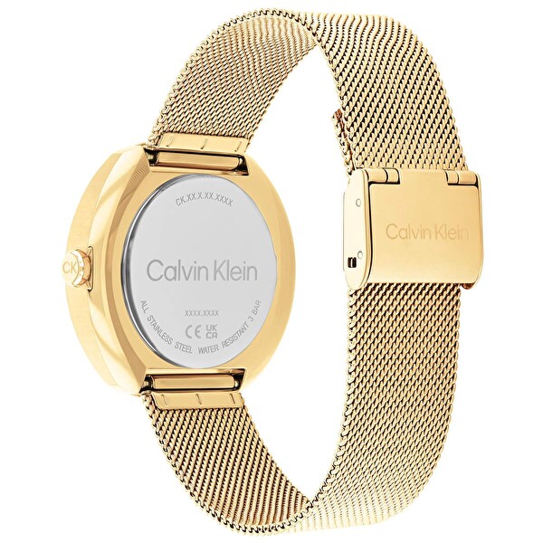 Calvin Klein Ck25200339 Kadın Kol Saati