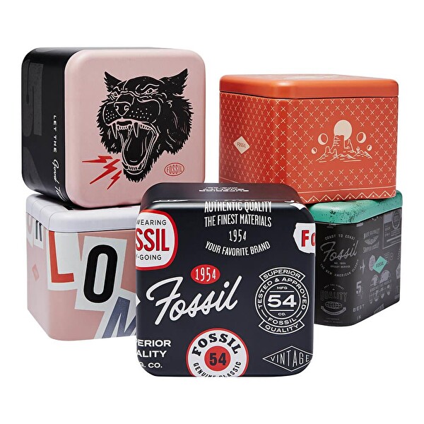Fossil FES4701 Kadın Kol Saati