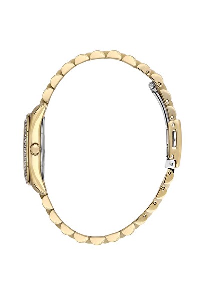 Daniel Klein DK.1.13589-4 Kadın Kol Saati