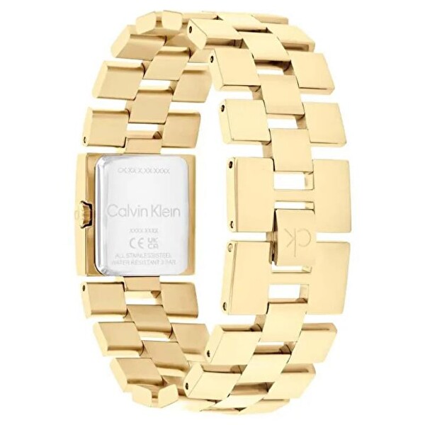 Calvin Klein CK25100089 Kadın Kol Saati