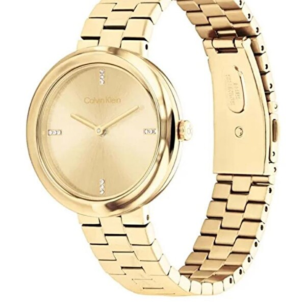 Calvin Klein CK25100094 Kadın Kol Saati