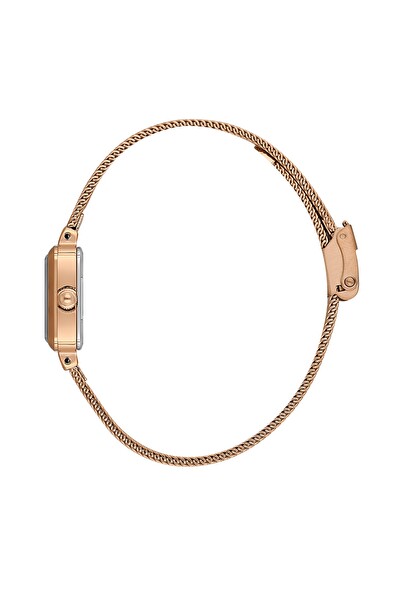 Daniel Klein DK102-DKE.1.10861-6 Kadın Kol Saati