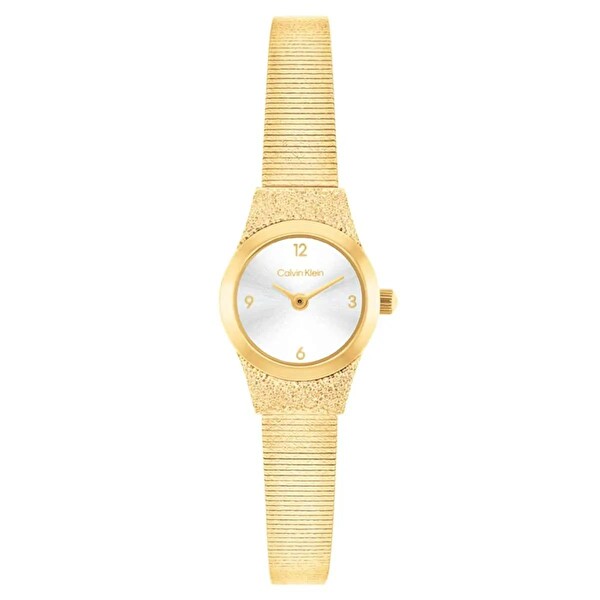 Calvin Klein CK25100193 Kadın Kol Saati