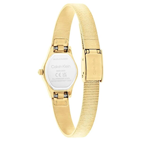 Calvin Klein CK25100193 Kadın Kol Saati