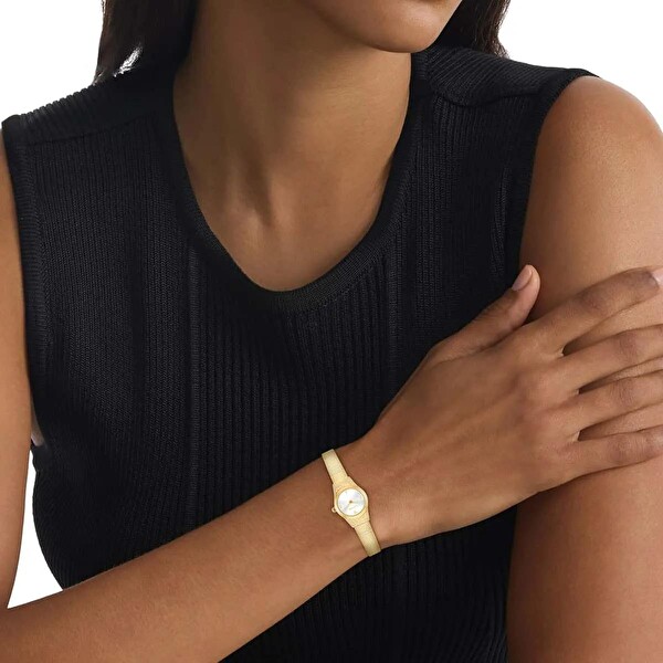 Calvin Klein CK25100193 Kadın Kol Saati
