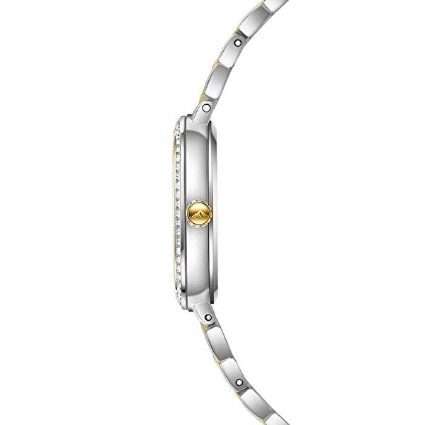 Roche Montre RML3002-02 Kadın Kol Saati