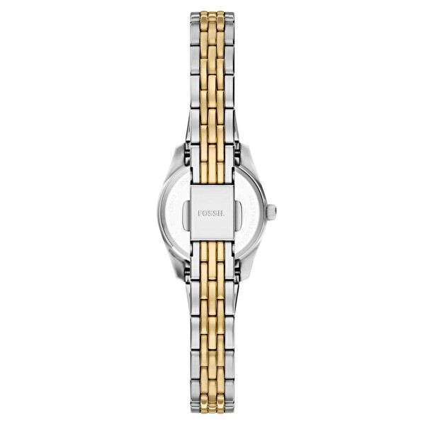Fossil FES5473 Kadın Kol Saati
