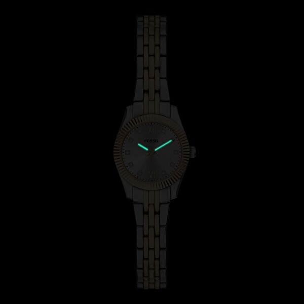 Fossil FES5473 Kadın Kol Saati