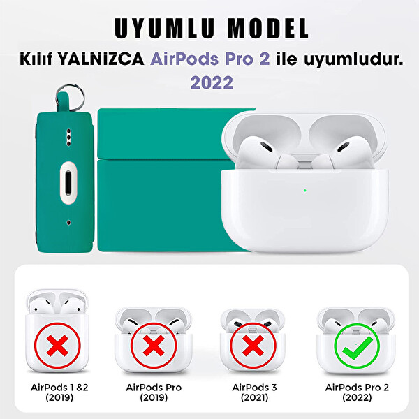 Microsonic Airpods Pro 2.nesil Kılıf Cartoon Figürlü Silikon Crtn-fgr-mni-fre