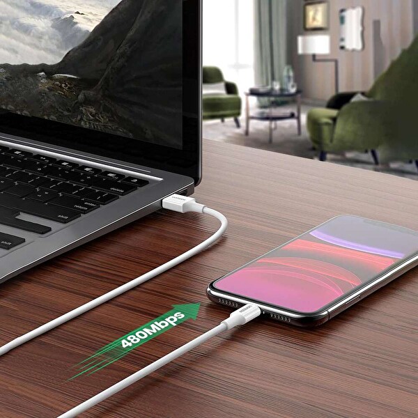 Ugreen Lightning 2.4A 2 Metre Siyah Data Ve Şarj Kablosu