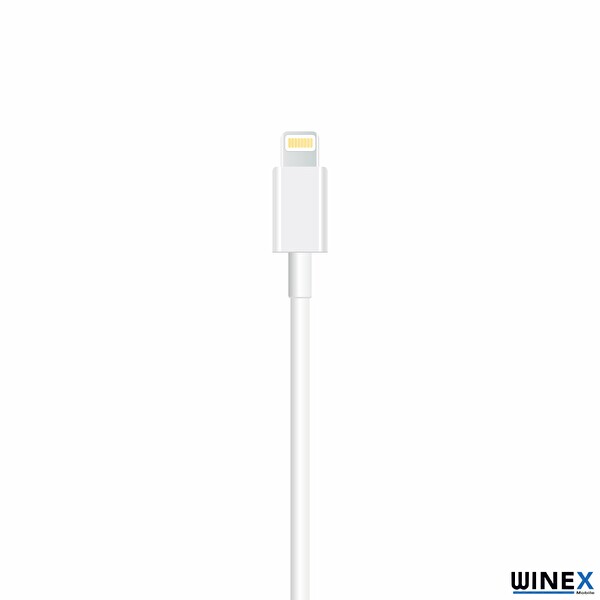 Winex SX25P 3A 45W Type-C To Lightning 1-2-3 Metre Beyaz Data Ve Hızlı Şarj Kablosu 3’lü Paket