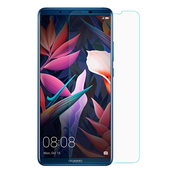 Microsonic Huawei Mate 10 Pro Nano Cam Ekran Koruyucu Kırılmaz Film