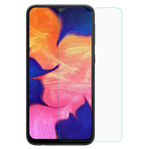 Microsonic Samsung Galaxy A10 Nano Cam Ekran Koruyucu