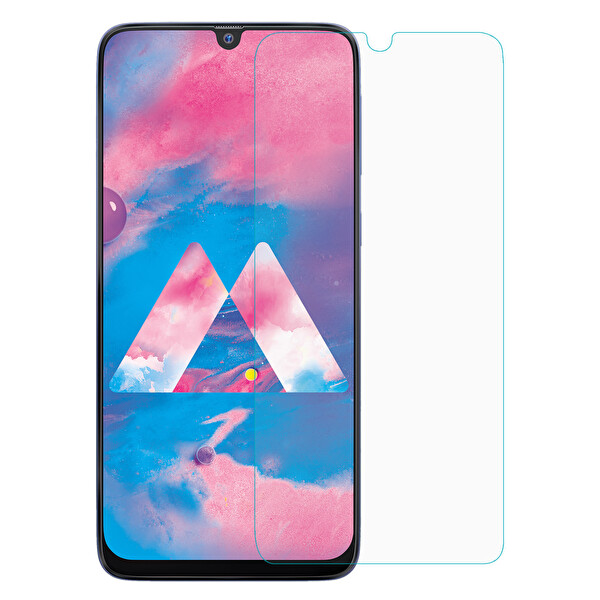 Microsonic Samsung Galaxy M30 Nano Cam Ekran Koruyucu