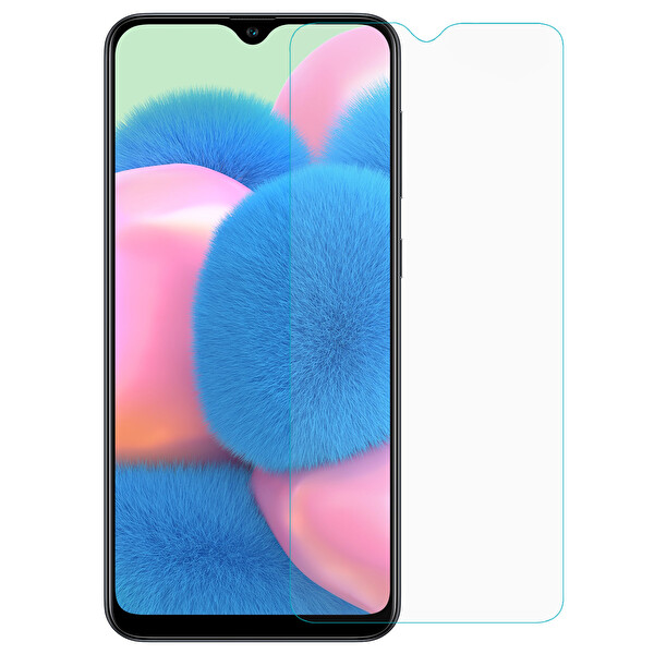 Microsonic Samsung Galaxy A30s Nano Cam Ekran Koruyucu