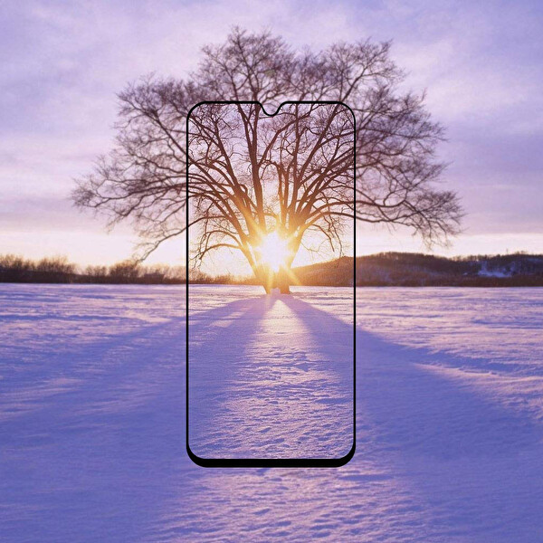 Microsonic Samsung Galaxy M30s Tam Kaplayan Temperli Cam Ekran Koruyucu Siyah