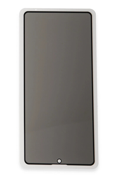 Teknoparkta Samsung Galaxy A55 5G 3D Antistatik Hayalet Cam Ekran Koruyucu DRSTR