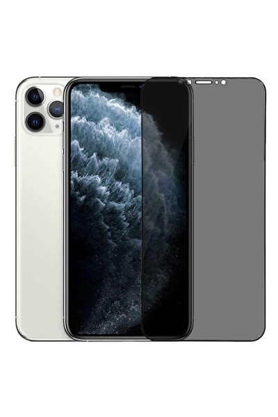 Teknoparkta Apple iPhone 12 Pro Max (6.7İNÇ)tam Kaplayan Privacy Hayalet Ekran Koruyucu Cam