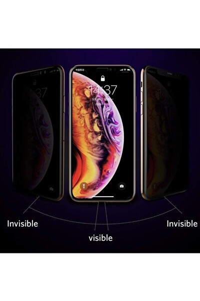 Teknoparkta Teknopark iPhone Xs Max Privacy Kavisli Hayalet Gizlilik Filitreli Full Ekran Koruyucu