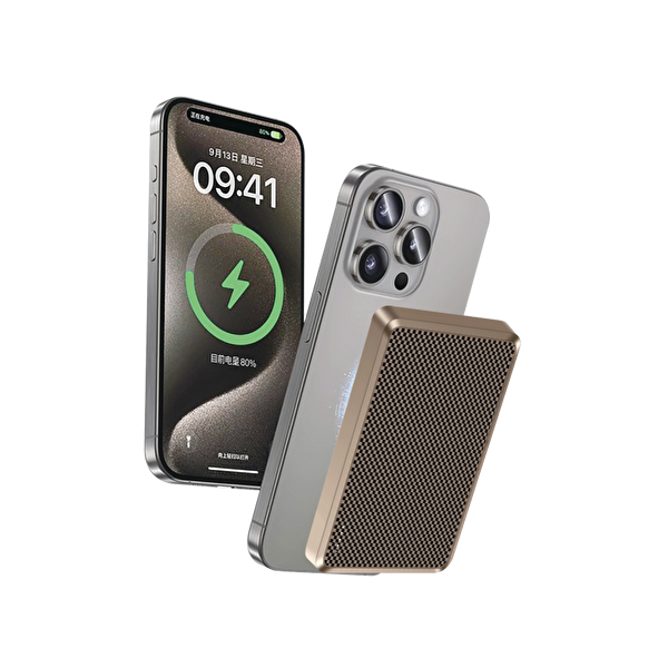 Piili 10.000 mAh Karbon P-PB5 Taşınabilir Altın Powerbank