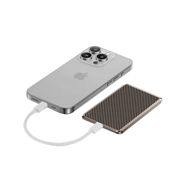 Piili 10.000 mAh Karbon P-PB5 Taşınabilir Altın Powerbank