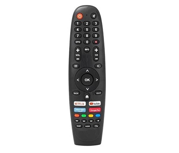 Tayfun Digipoll Google TV Uyumlu Kumanda-Mikrofonlu