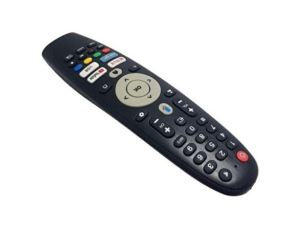 Tayfun Dijitsu 50DG22000 4K Google TV Uyumlu Kumanda-Mikrofonsuz