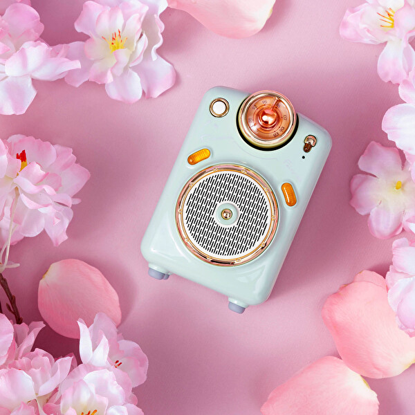 Divoom Fairy-Ok Karaoke Mikrofonlu FM Radyolu Taşınabilir Yeşil Bluetooth Hoparlör