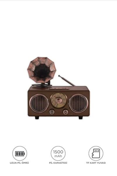 Başkenttekno D89 Nostaljik Retro Radyo Kablosuz TF Kart-FM-AM-SW Bluetooth Hoparlör