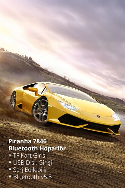 Piranha 7846 BT 5.3 USB TF Kart Girişli Şarjlı Kablosuz Bluetooth Hoparlör