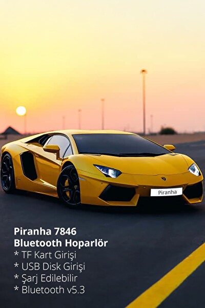 Piranha 7846 BT 5.3 USB TF Kart Girişli Şarjlı Kablosuz Bluetooth Hoparlör