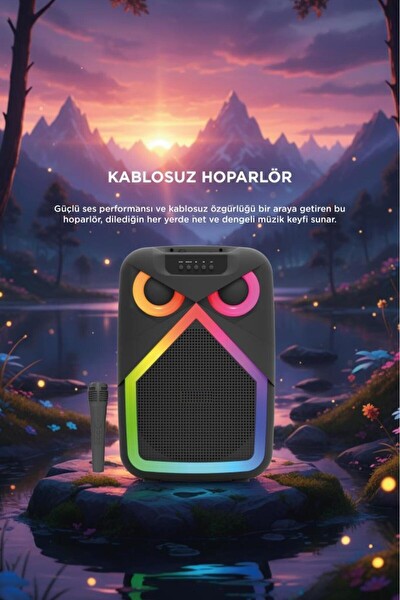 Başkenttekno D84 Baykuş Görünümlü 50W RGB LED Işıklı Kablosuz Mikrofonlu Taşınabilir Bluetooth Hoparlör