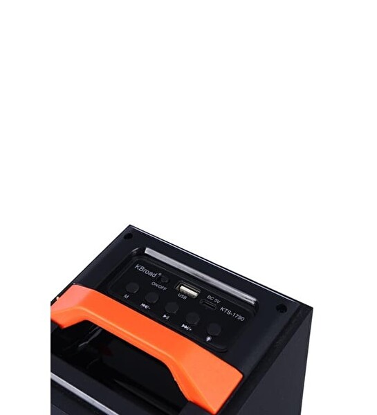 Başkenttekno 1790 Kablosuz Mikrofonlu RGB Ledli Taşınabilir Bluetooth Hoparlör