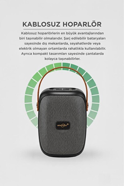 Başkenttekno GTS-1679 Bluetooth Hoparlör Rgb Işıklı FM Radyo Kablosuz Taşınabilir Speaker Siyah