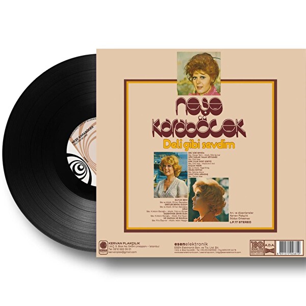 Neşe Karaböcek - Deli Gibi Sevdim Plak
