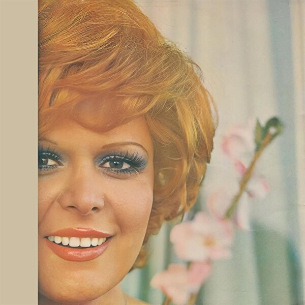 Neşe Karaböcek - Deli Gibi Sevdim Plak