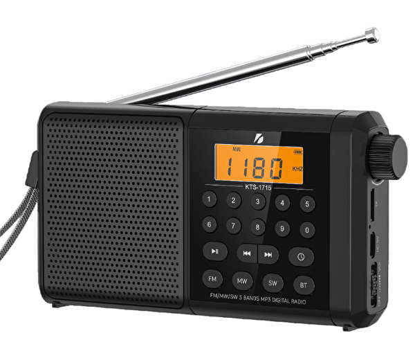 Flagen Dijital Ekranlı Saatli Manuel Kanal Arama Kayıt Özellikli FM Radyo Bluetooth Hoparlör