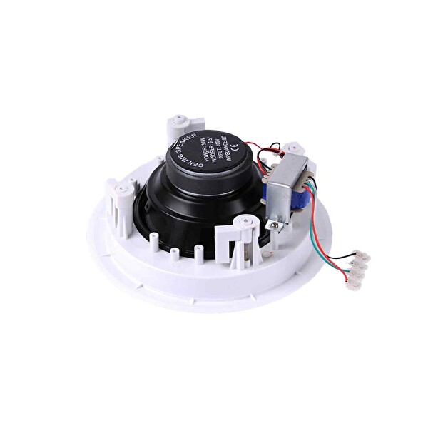 SSP Audio Cell 306 6