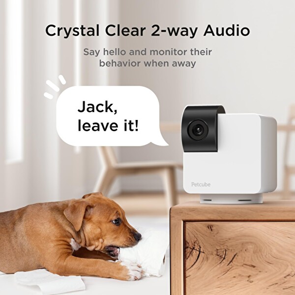Petcube Üstün Etkileşimli Wi-Fi Evcil Hayvan ve Ev Güvenliği Cam 360 Kamera B0CH1D594H