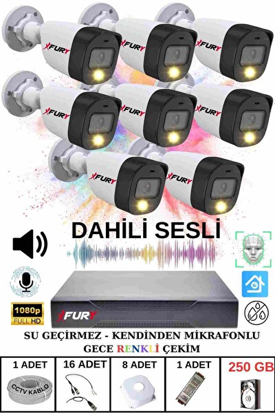 Fury 8 li Sesli Gece Renkli Görüş Güvenlik Kamerası Su Geçirmez Güvenlik Kamerası Seti 250GB