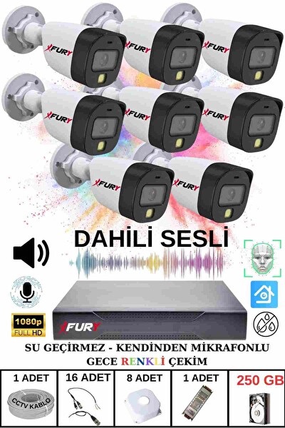 Fury 8 li Sesli Gece Renkli Görüş Güvenlik Kamerası Su Geçirmez Güvenlik Kamerası Seti 250GB