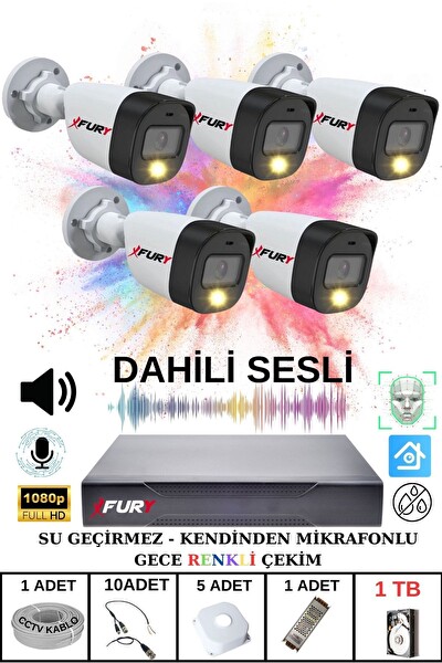 Fury 5'li Sesli Gece Renkli Görüş Güvenlik Kamerası Su Geçirmez Güvenlik Kamerası Seti 1TB