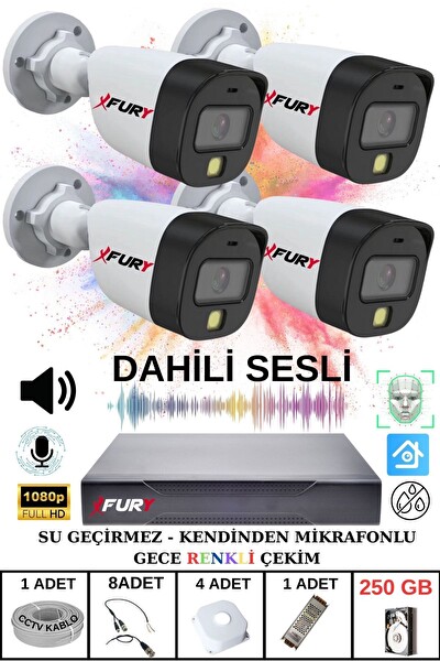 Fury 4'lü Sesli Gece Renkli Görüş Güvenlik Kamerası Su Geçirmez Güvenlik Kamerası Seti 250GB