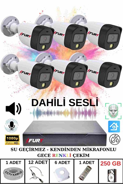 Fury 6'lı Sesli Gece Renkli Görüş Güvenlik Kamerası Su Geçirmez Güvenlik Kamerası Seti 250 GB