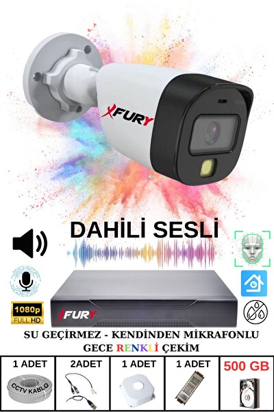 Fury 1'li Sesli Gece Renkli Görüş Güvenlik Kamerası Su Geçirmez Güvenlik Kamerası Seti 500 GB