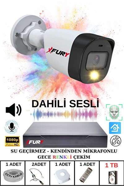 Fury 1'li Sesli Gece Renkli Görüş Güvenlik Kamerası Su Geçirmez Güvenlik Kamerası Seti 1 TB