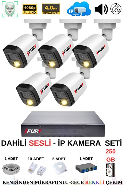 Fury 5 Kameralı Sesli 4 MP Gece Renkli Su Geçirmez IP5515S 250 GB IP Güvenlik Kamera Seti