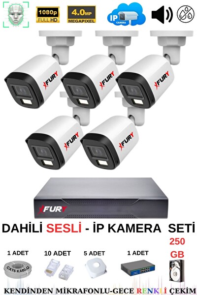 Fury 5 Kameralı Sesli 4 MP Gece Renkli Su Geçirmez IP5515S 250 GB IP Güvenlik Kamera Seti