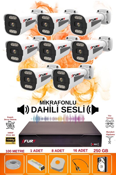 Fury 8 Kameralı Sesli 6 Warm Led Gece Renkli Görüş Su Geçirmez Güvenlik Kamerası Seti 250GB