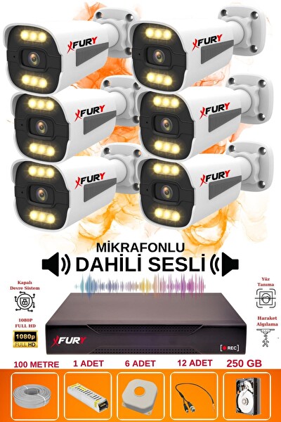 Fury 6 Kameralı Sesli 6 Warm Led Gece Renkli Görüş Su Geçirmez Güvenlik Kamerası Seti 250GB
